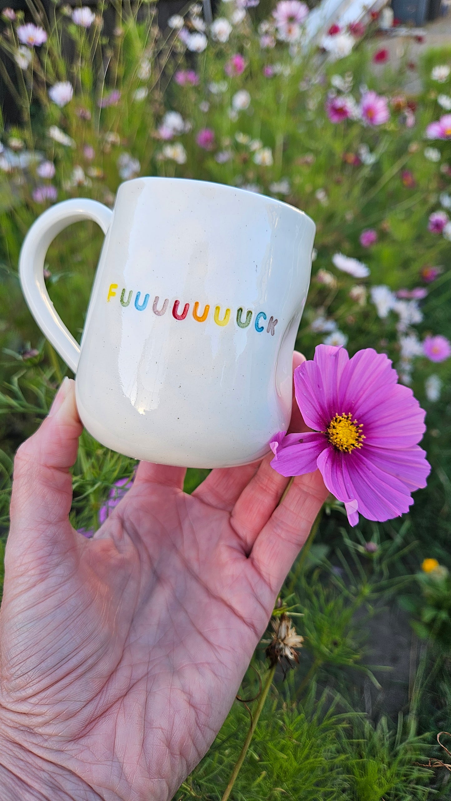 Rainbow connection mugs