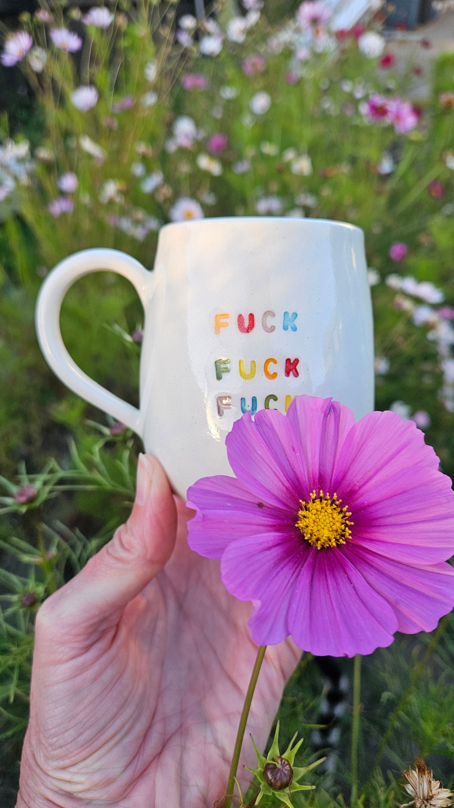 Rainbow connection mugs